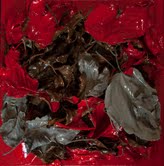Luigi Menichelli - Leaves of grass